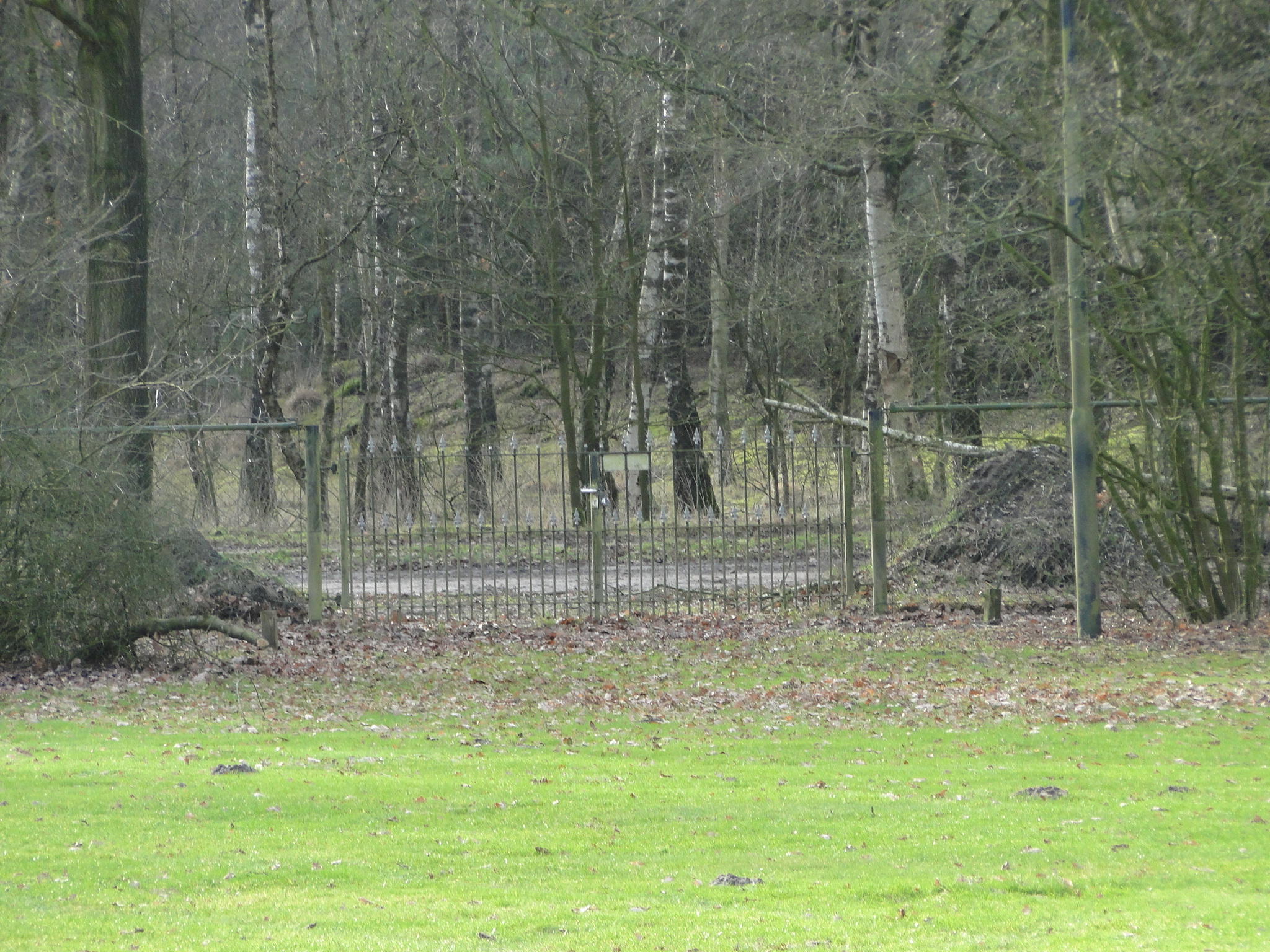 NWK 2012 013.jpg